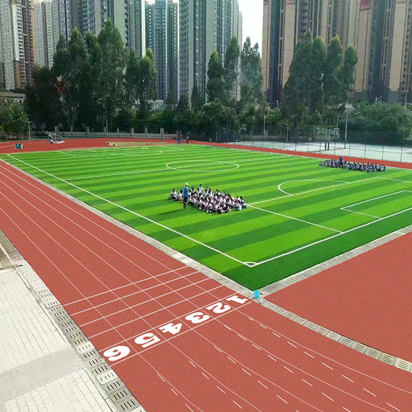 深圳市南湾学校